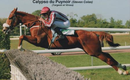 Calypso Du Puy Noir